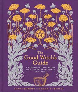 Good Witch's Guide by Robbins & Bedell