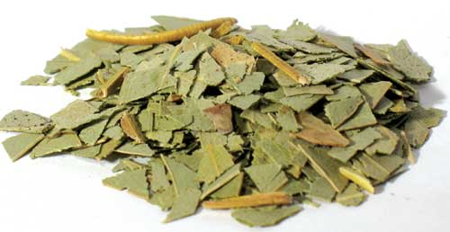 Eucalyptus cut 2oz - Click Image to Close