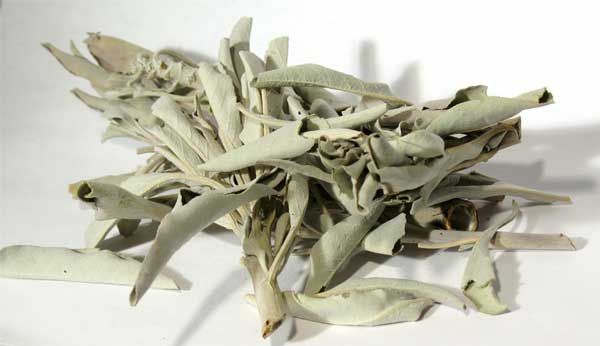 1 Lb White Sage - Click Image to Close