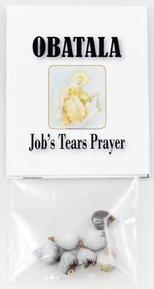 Job's Tears